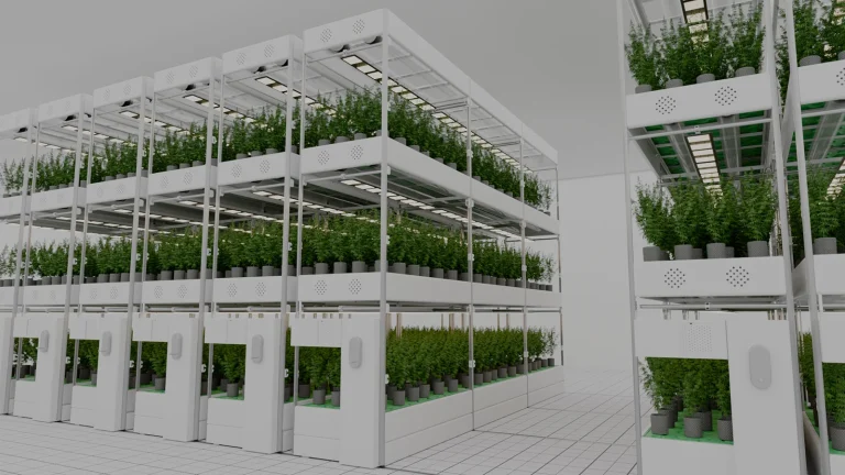 Modulo vege 3 niveles