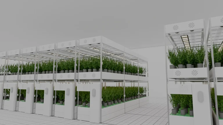 Modulo vege doble nivel